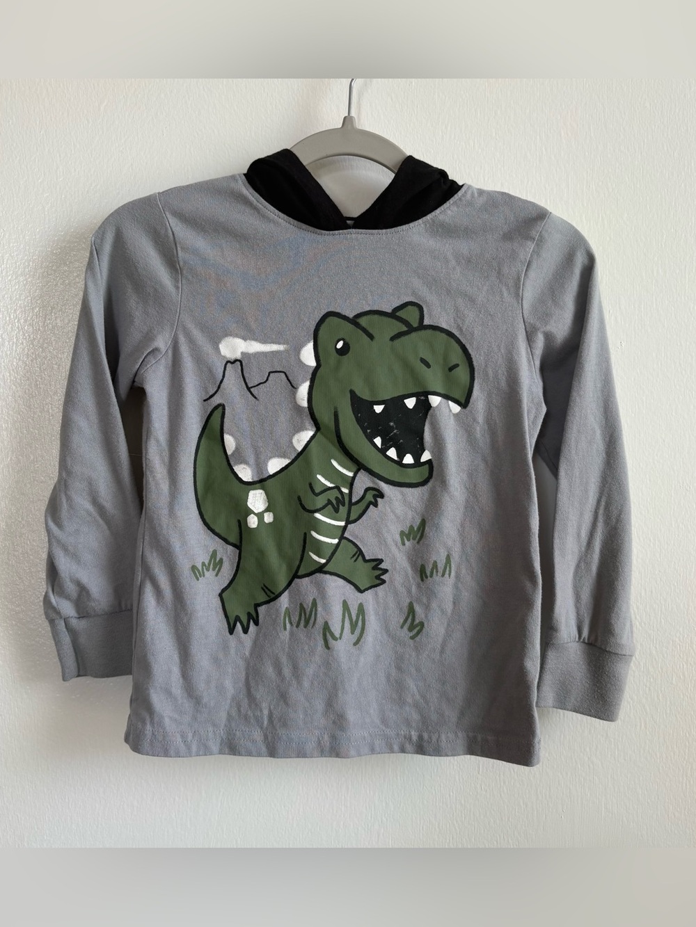 The Children's Place Boys 3T Gray Hooded Long Sleeve T-Shirt Dinosaur Graphic